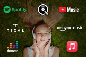 Which music streaming service delivers the best experience?